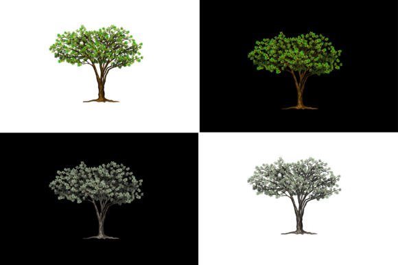 African Acacia Trees: Graphics for Local Branding