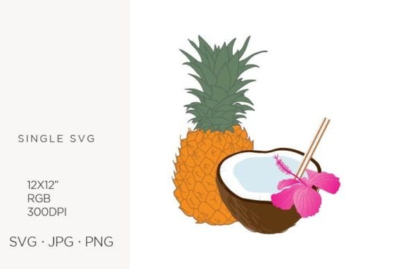 Half Coconut and Pineapple, Vector Illu Graphics