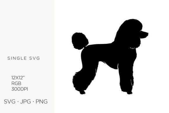 Pet Dog Illustration on White Graphics