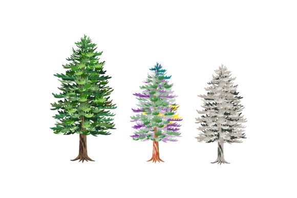 Pine Tree Hand Drawing Graphics